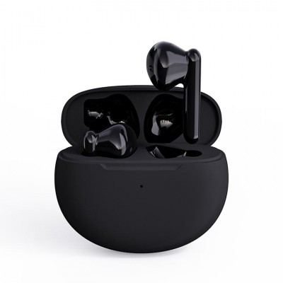 イヤホン式 集音器 (1)